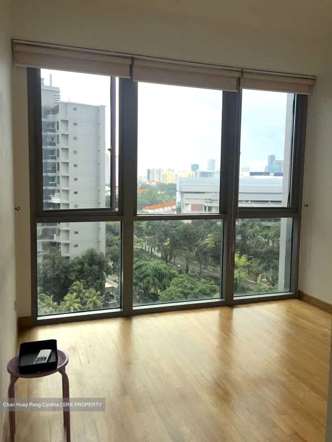 Park Infinia At Wee Nam (D11), Condominium #576683901
